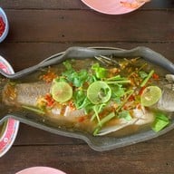 เมนูของร้าน อาหารป่าอาเดือนโภชนา