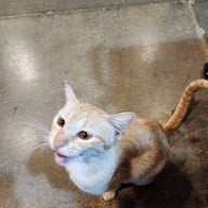 แม่เบญคัลทรี่2 สระน้ำ