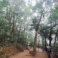 วัดพลวง จันทบุรี