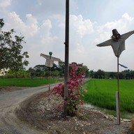 Weekend Coffee Farm & Garden ซอยวัดลาดปลาดุก