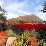 สวนสัปปายะ Cactus Farm