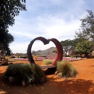 สวนสัปปายะ Cactus Farm