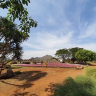 สวนสัปปายะ Cactus Farm