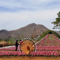 สวนสัปปายะ Cactus Farm