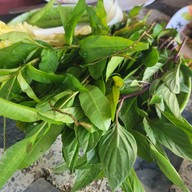 ครัวลาบเป็ดกาฬสินธุ์ ป้าน้อย