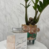 สปาเท้า สปามือ ทาเล็บเจล ขอนแก่น ขอนแก่น