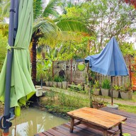 บรรยากาศ ตาลพวา