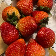 โครงการหลวง รพ.รามาธิบดี รพ.รามาธิบดี