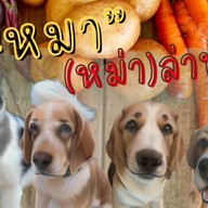 4หมาล่าชาบู