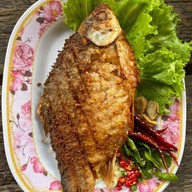 เมนูของร้าน ร้านประสิทธิ์ไก่ย่าง (เจ้าเก่า) สาขาแรก