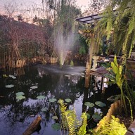 บรรยากาศ ร้านบ้านป้าแจ๋ว