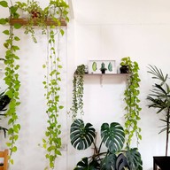 บรรยากาศ 3199 Cafe' Latya