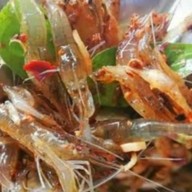 กุ้งเต้นคุณดา