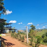 ไร่สุดเมิงโปง บ่อเกลือใต้ ก่อนถึงถนน เลข 3 จังหวัดน่าน