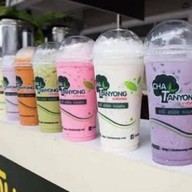 ชาตันหยง หมู่บ้านเดอะโมดิช-ชัยพฤกษ์วงแหวน