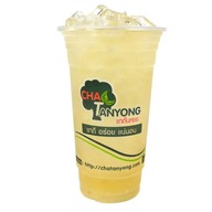 ชาตันหยง หมู่บ้านเดอะโมดิช-ชัยพฤกษ์วงแหวน