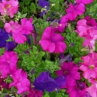 อุทยานแห่งชาติห้วยน้ำดัง