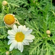 อุทยานแห่งชาติห้วยน้ำดัง