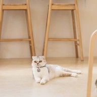 Spring day cafe ระยอง