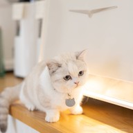 Spring day cafe ระยอง