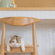 Spring day cafe ระยอง