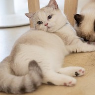 Spring day cafe ระยอง