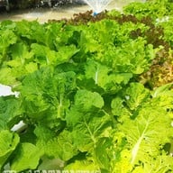 ชมเฌอ Cafe&Bistro