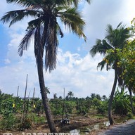 ชมเฌอ Cafe&Bistro