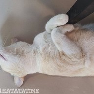 ชมเฌอ Cafe&Bistro