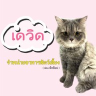 เดวิด อาหารสัตว์