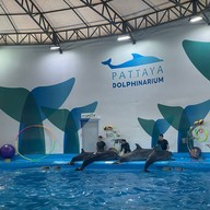 บรรยากาศ Pattaya Dolphinarium