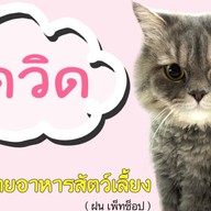 เดวิด อาหารสัตว์