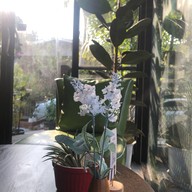 เดอะเทร x Tre Girini เมืองระยอง