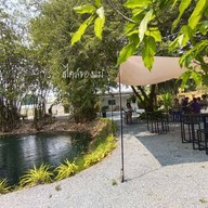 เตี๋ยวไก่บ้านกอไผ่