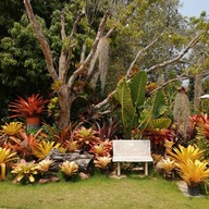 บรรยากาศ เจริญสุขโข ผัดไทยกุ้งแม่น้ำ Floating Market Damnoensaduak