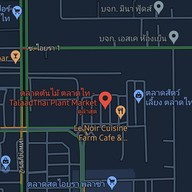 ตลาดต้นไม้ @ตลาดไท