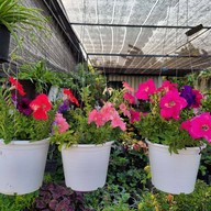 บรรยากาศ ตลาดต้นไม้ @ตลาดไท