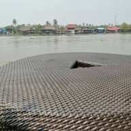 บรรยากาศ สมดุล อาโกฟอเรสทรี่ โฮม -