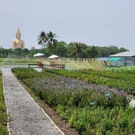 Notre maison Notre Maison
