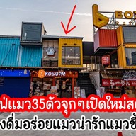 แมวเหมียวสมูทตี้ by Sweetea BKK บ็อคซ์ สเปซ รัชโยธิน