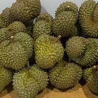 everything jingle bell