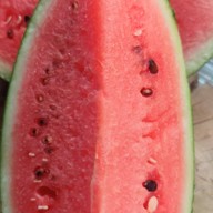 ผลไม้สดดองริมทาง ลูกชิ้นปลาระเบิด ผลไม้สด  ยำ น้ำอัดลม น้ำปลา่าว