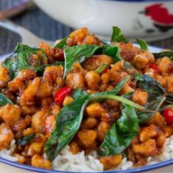 ใบเพรา@196 Baiprao@196