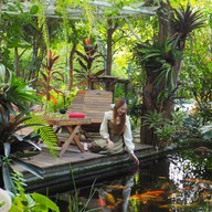 บรรยากาศ Orange Tree Cafe & Bistro