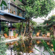 บรรยากาศ Orange Tree Cafe & Bistro