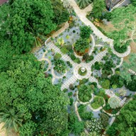 บรรยากาศ Orange Tree Cafe & Bistro