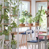 บรรยากาศ Orange Tree Cafe & Bistro