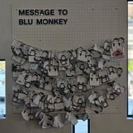 Blu Monkey Ranong