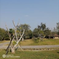 บรรยากาศ บ้านไร่คุณนาย