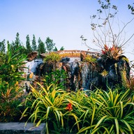 บรรยากาศ ศุภิสรา ฟาร์ม&คาเฟ่